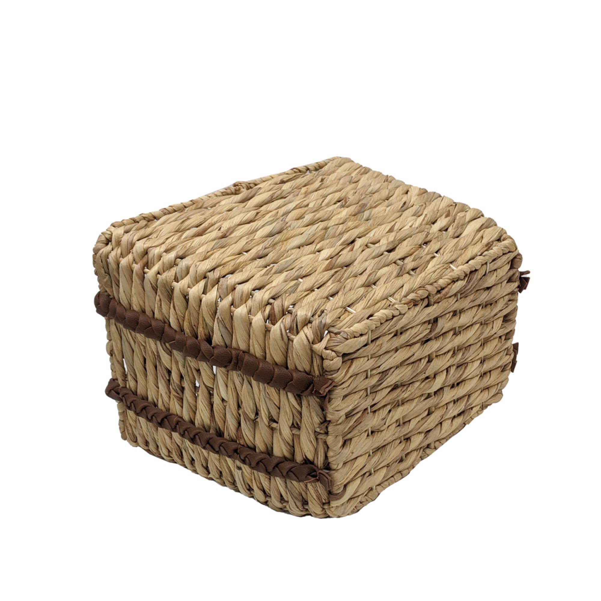 Small Water Hyacinth with Braided Leather Handles by Ashland®